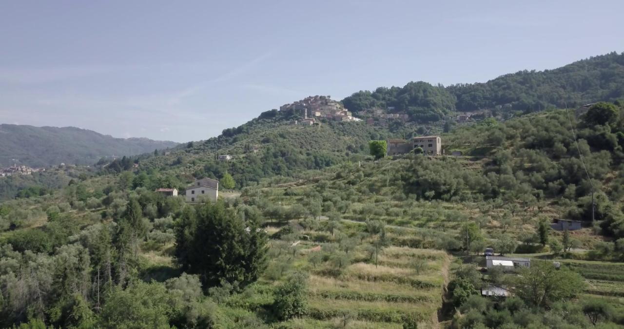 Luxury Villa In Tuscany - Casa Di Nonnas Pescia Exterior foto